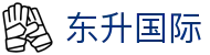 东升国际在线